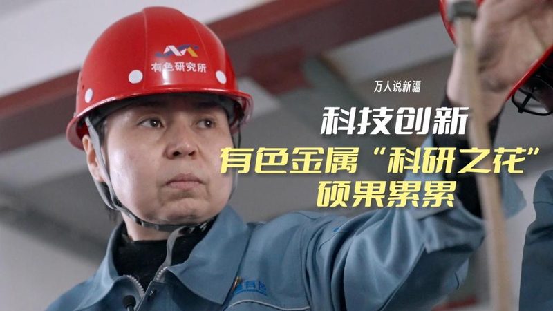 软件测试流程培训视频：揭秘高效测试的秘诀